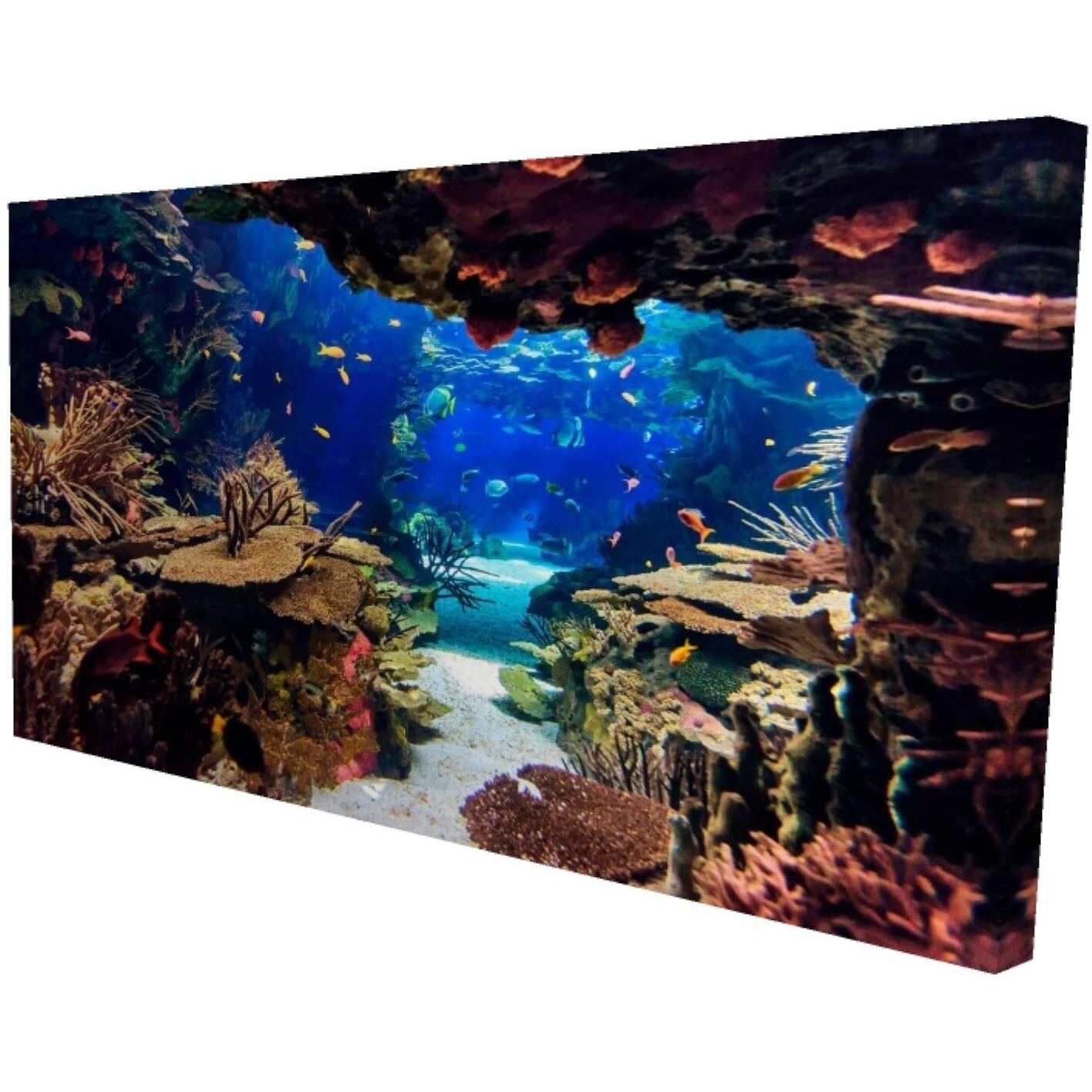 Begin Undersea World - Print on Canvas Edition