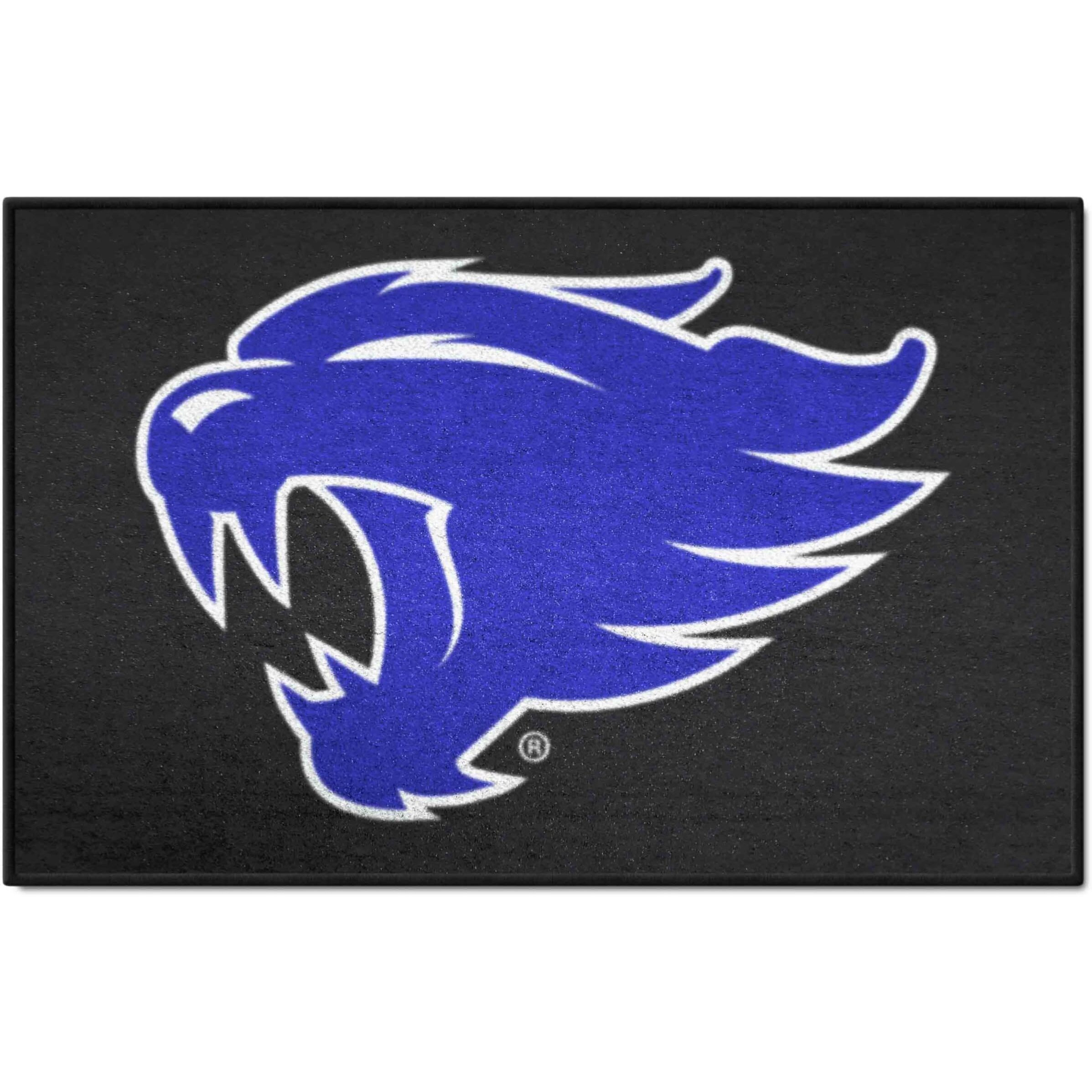 FANMATS 35724 NCAA - Kentucky Wildcats Starter Mat Accent Rug - 19in. x 30in.| Sports Fan Home Decor Rug and Tailgating Mat