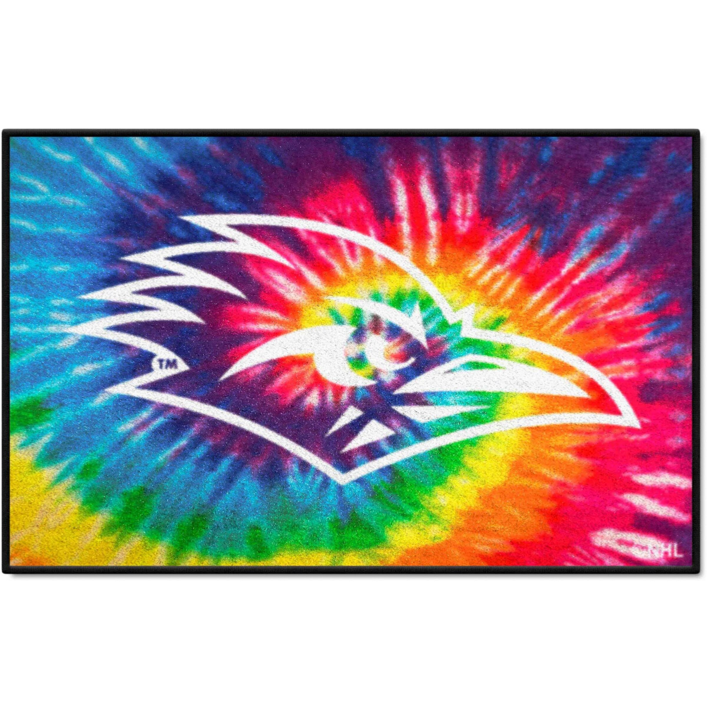 FANMATS 35960 UTSA Roadrunners Starter Mat Accent Rug - 19in. x 30in.| Sports Fan Home Decor Rug and Tailgating Mat