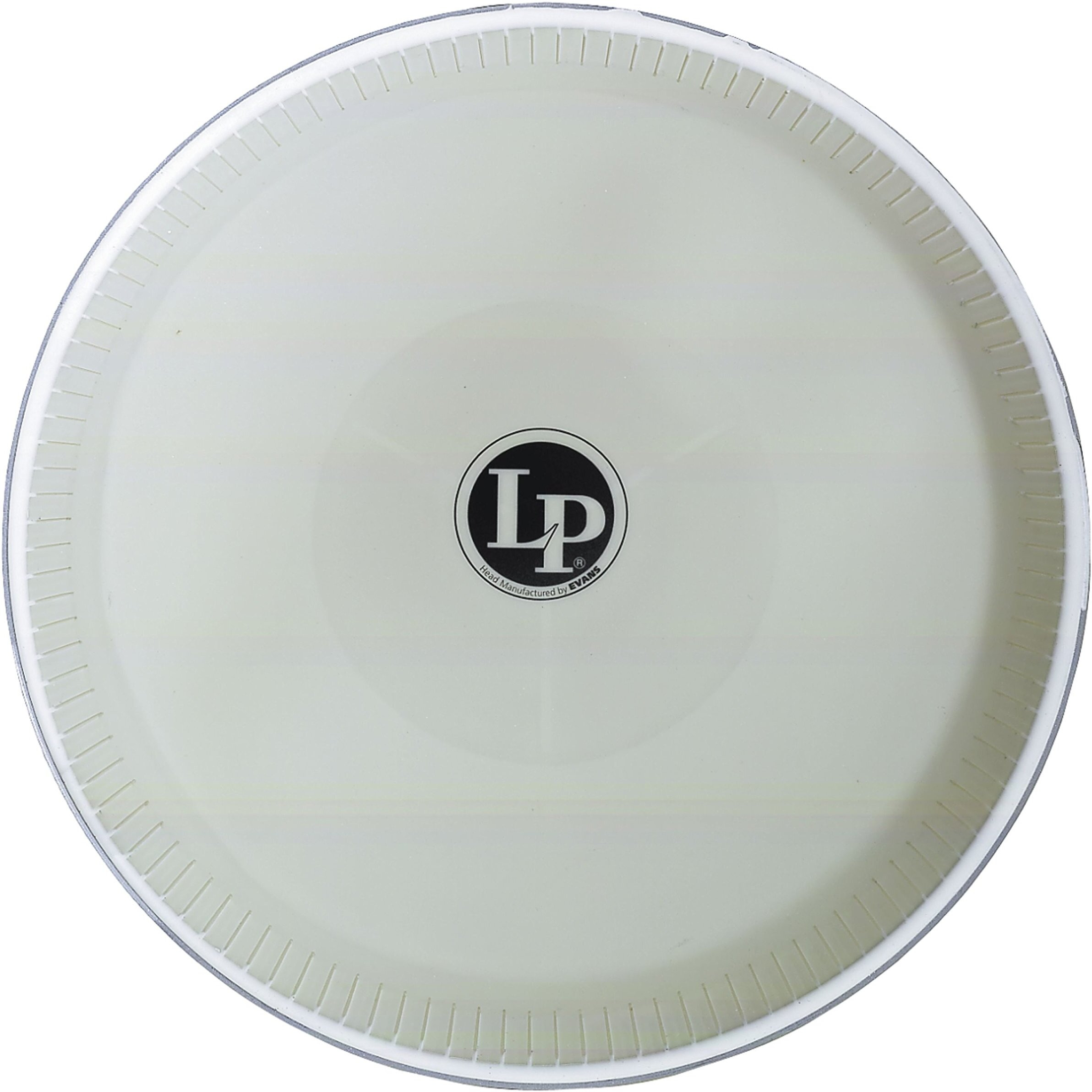 LP Conga Head 12.5"