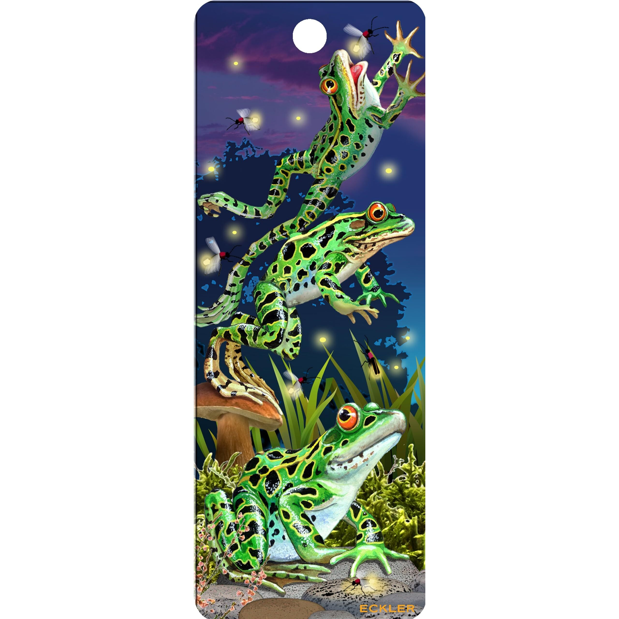 Lightning Bugs and Leap Frogs 3D Bookmarks