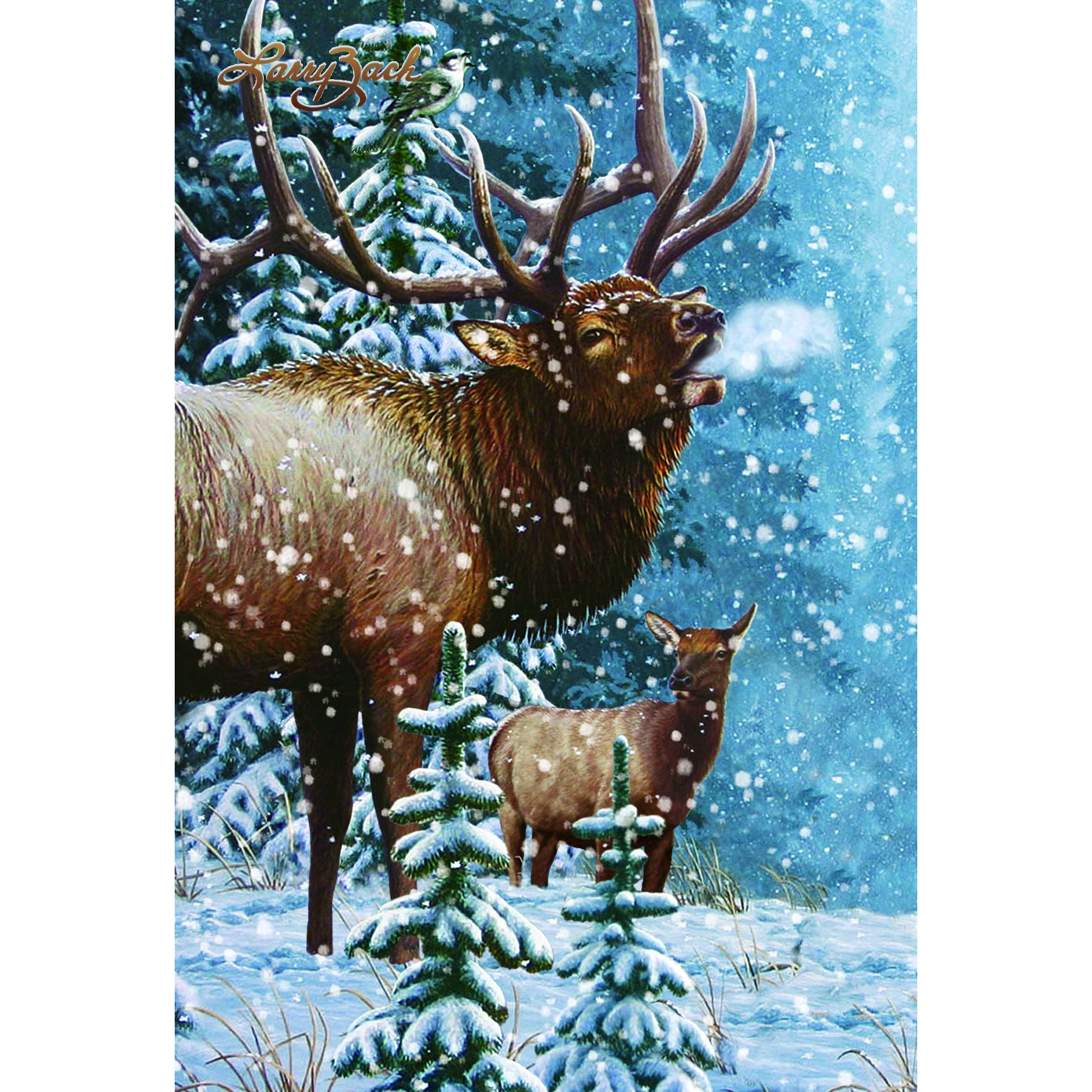 Gift Trenz Elk Motion Postcard (20303)
