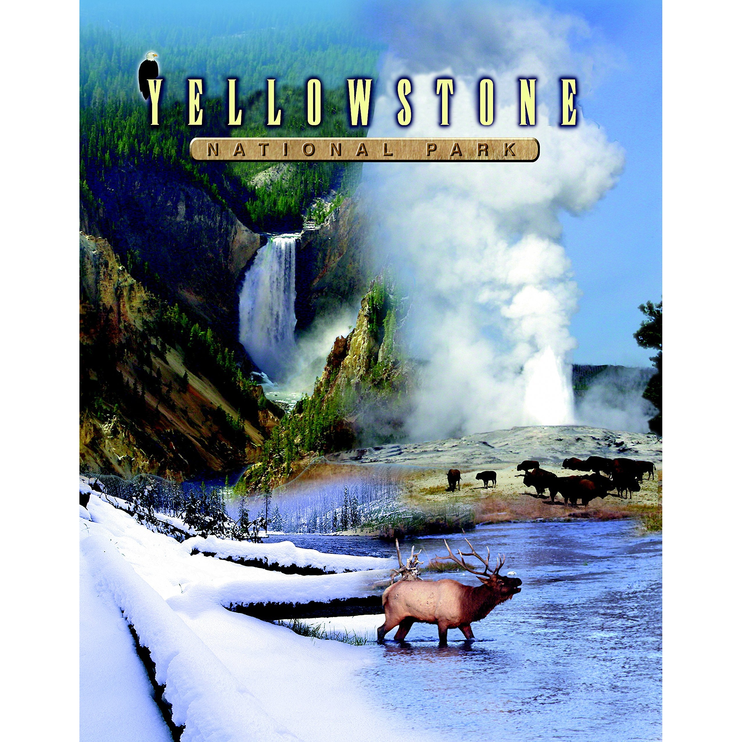 Gift Trenz Yellowstone 3D Postcard (20321)