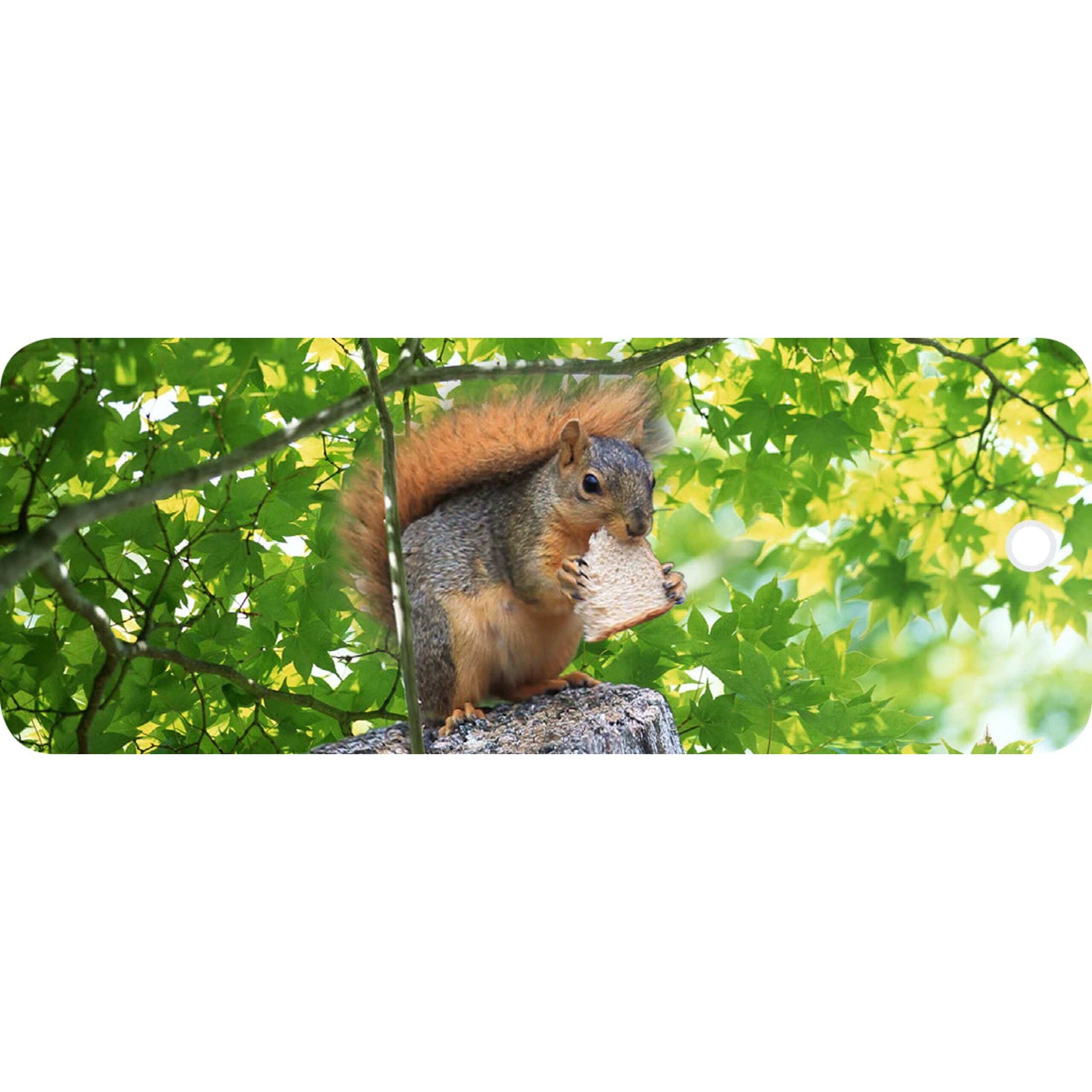 SQUIRREL- MOTION BOOKMARK