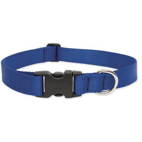 Lupine Pet Basic Solids Blue Blue Nylon Dog Adjustable Collar