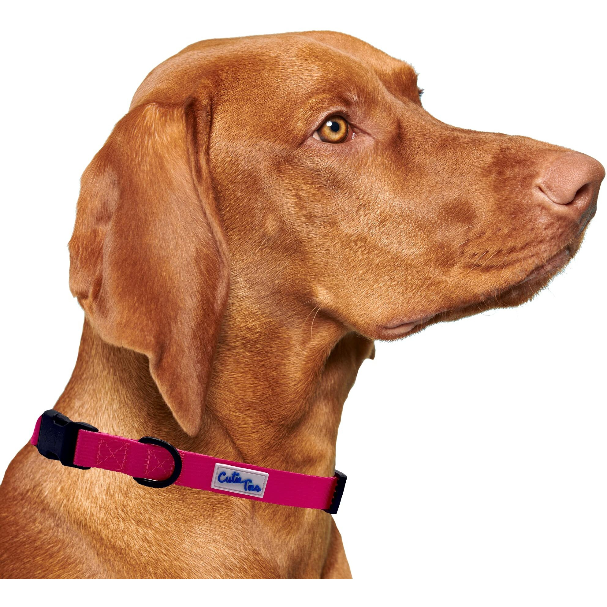 CUTIE TIES Dog Collar Pink Durable Nylon Material - Premium Quality Collars for Dogs - Fancy Collars - Cute Dog Collars in Three Sizes (Medium (13" - 20"), Pink)