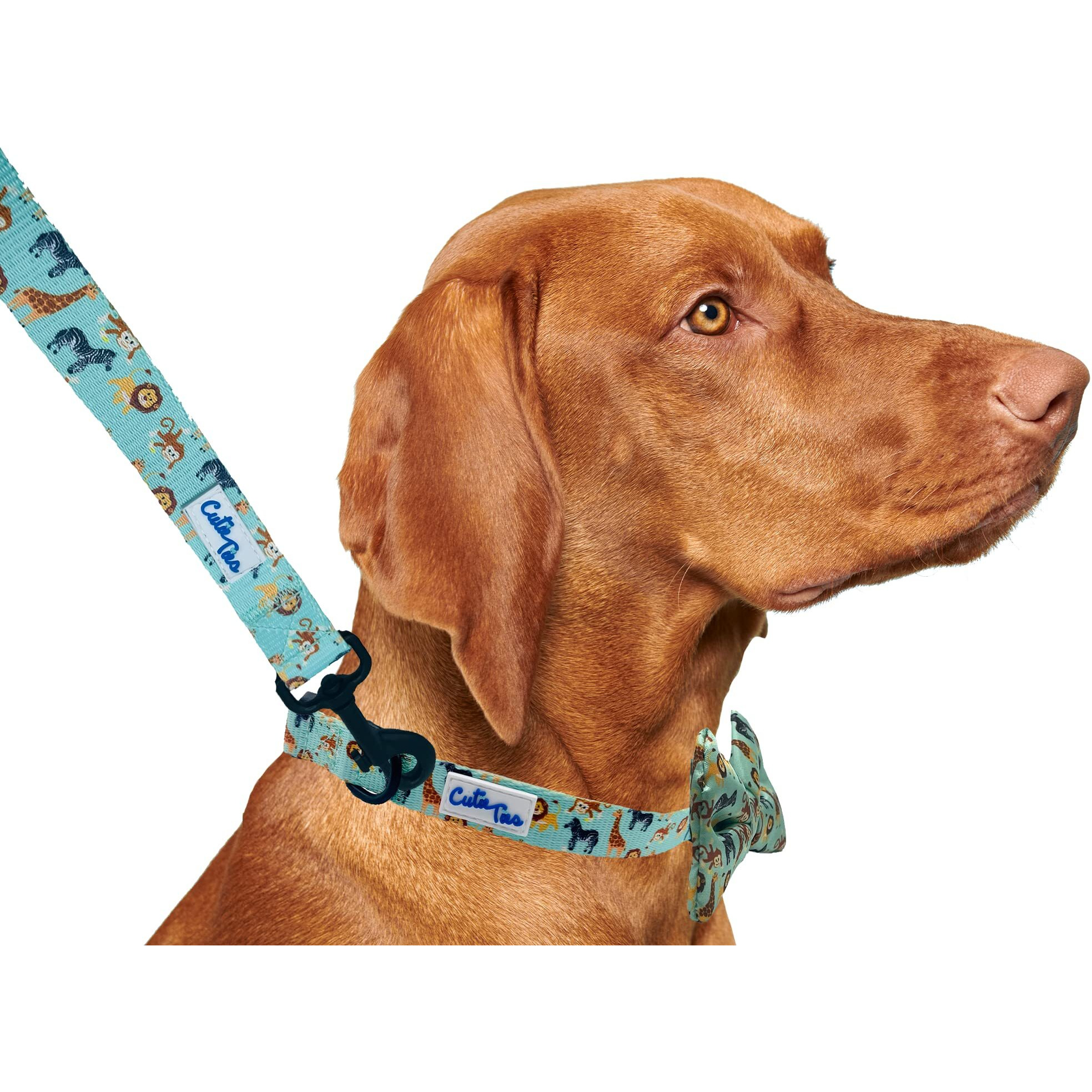 CUTIE TIES Dog Leash Zoo Animals Durable Nylon Material - Premium Quality Leash for Dogs - Fancy Leashes - Cute Dog Leash in Two Sizes - (Zoo Animals, Large (1" x 6'))