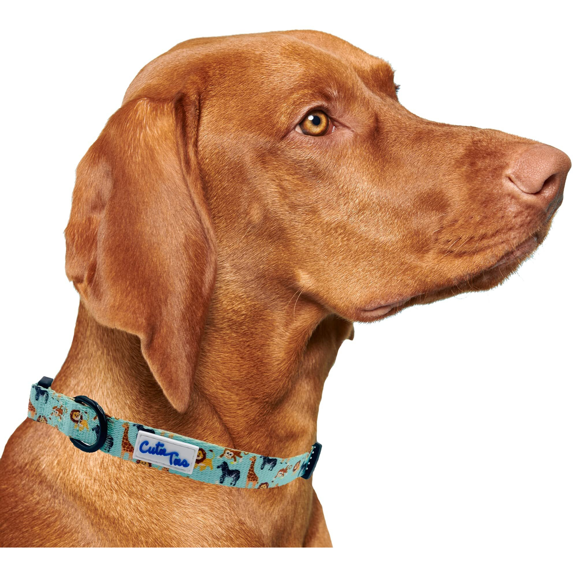 CUTIE TIES Dog Collar  Durable Nylon Material - Premium Quality Collars for Dogs - Fancy Collars - Cute Dog Collars in Three Sizes - Dog Collars for All Breeds (Zoo Friends, Large (16" - 26"))