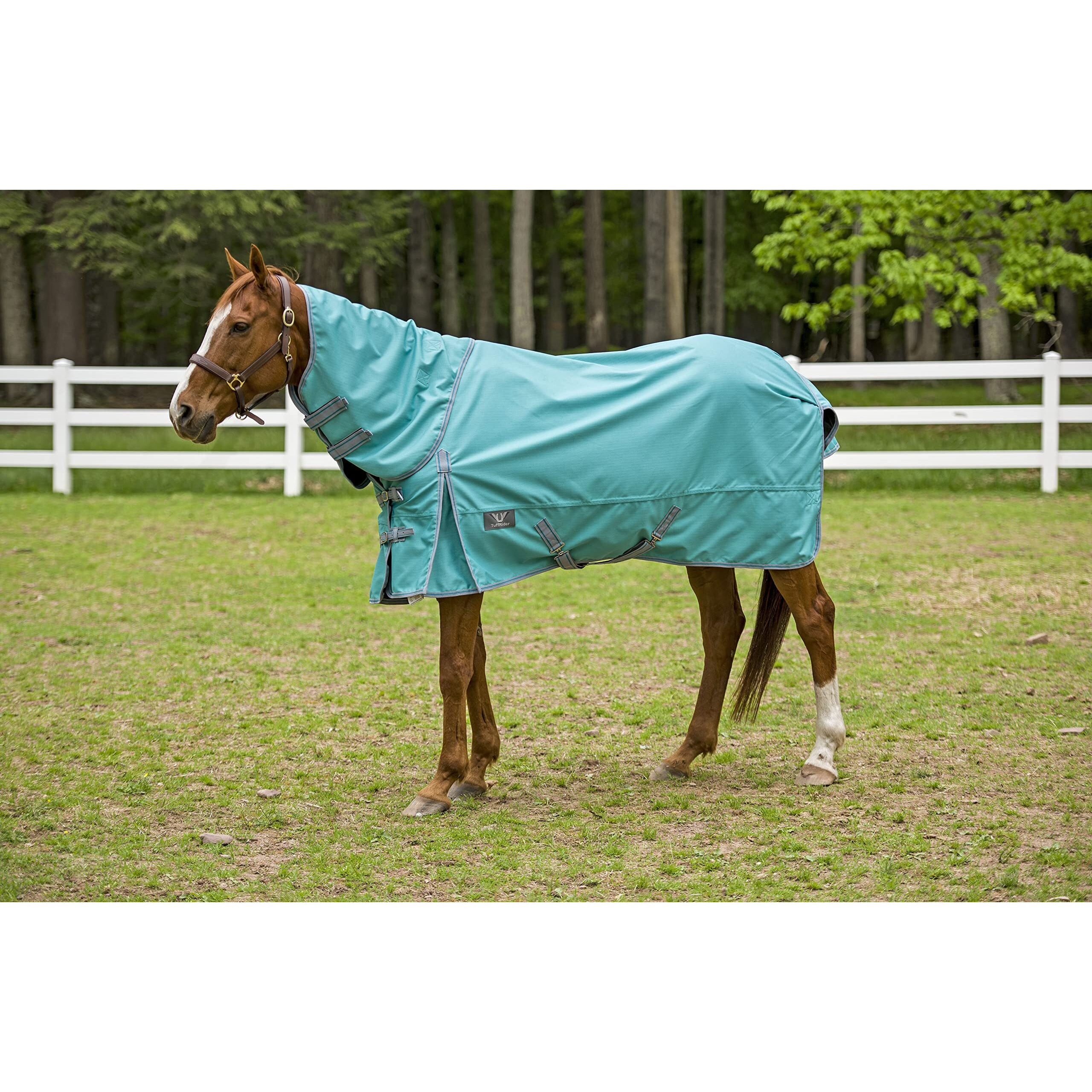 TuffRider 1200D Comfy DAN Sheet 75 Turquoise