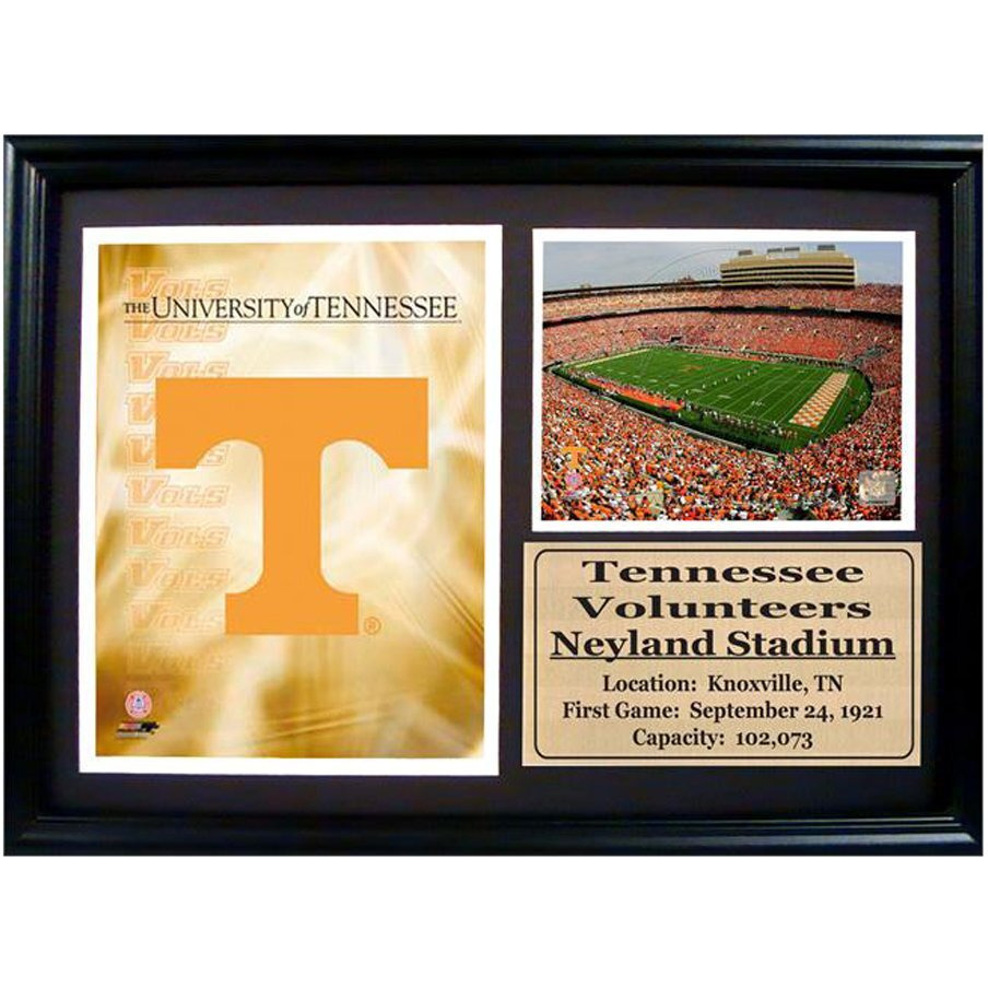 Encore Select 129-11 NCAA University of Tennessee Deluxe Frame Logo and Stadium Print, 12-Inch by 18-Inch