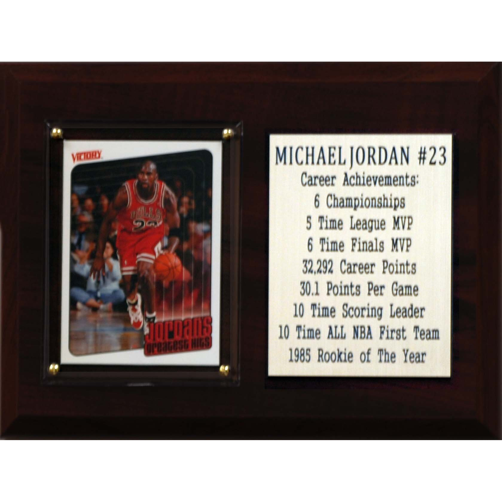 NBA Chicago Bulls Michael Jordan Career Stat Plaque, 6" x 8", Brown