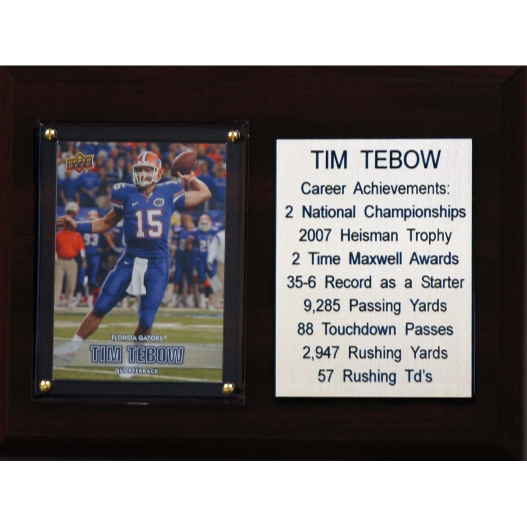 C&I Collectables NCAA Florida Gators Tim Tebow Career Stat Plaque, 6" x 8", Brown