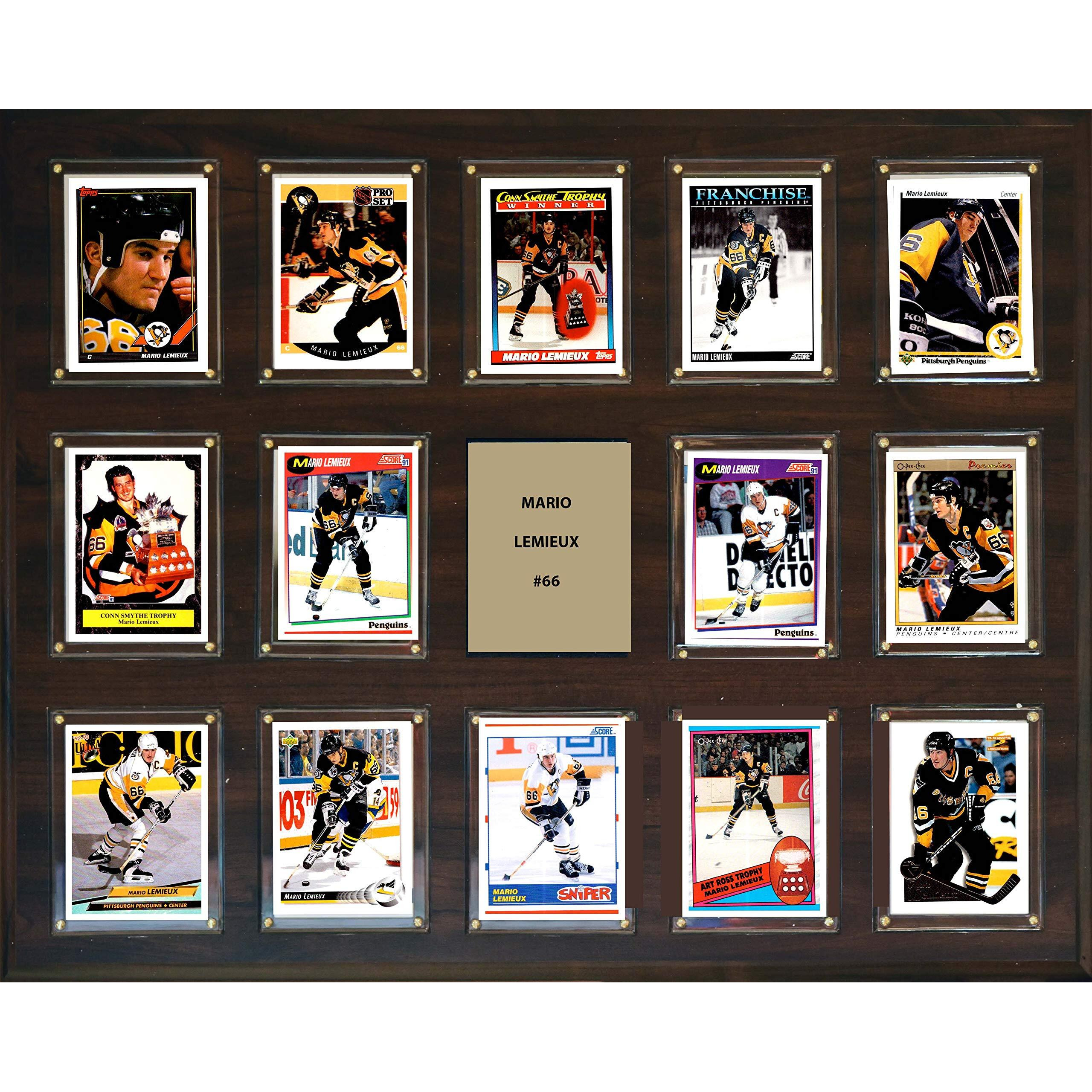 C&I Collectables NHL Pittsburgh Penguins Plaque, Brown, 16&quotx20"