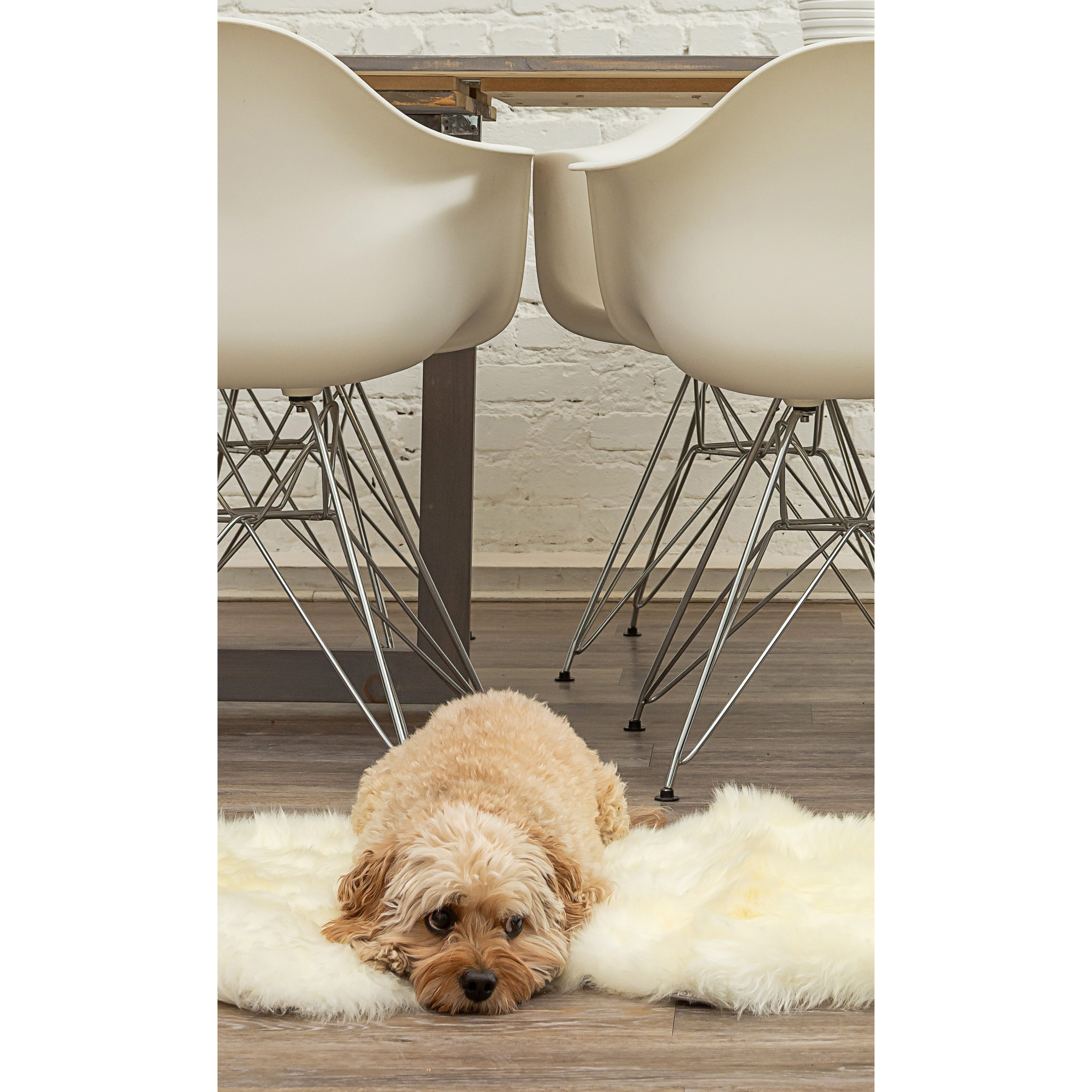 2' X 3'  White Natural New Zealand Sheepskin Wool Area Rug