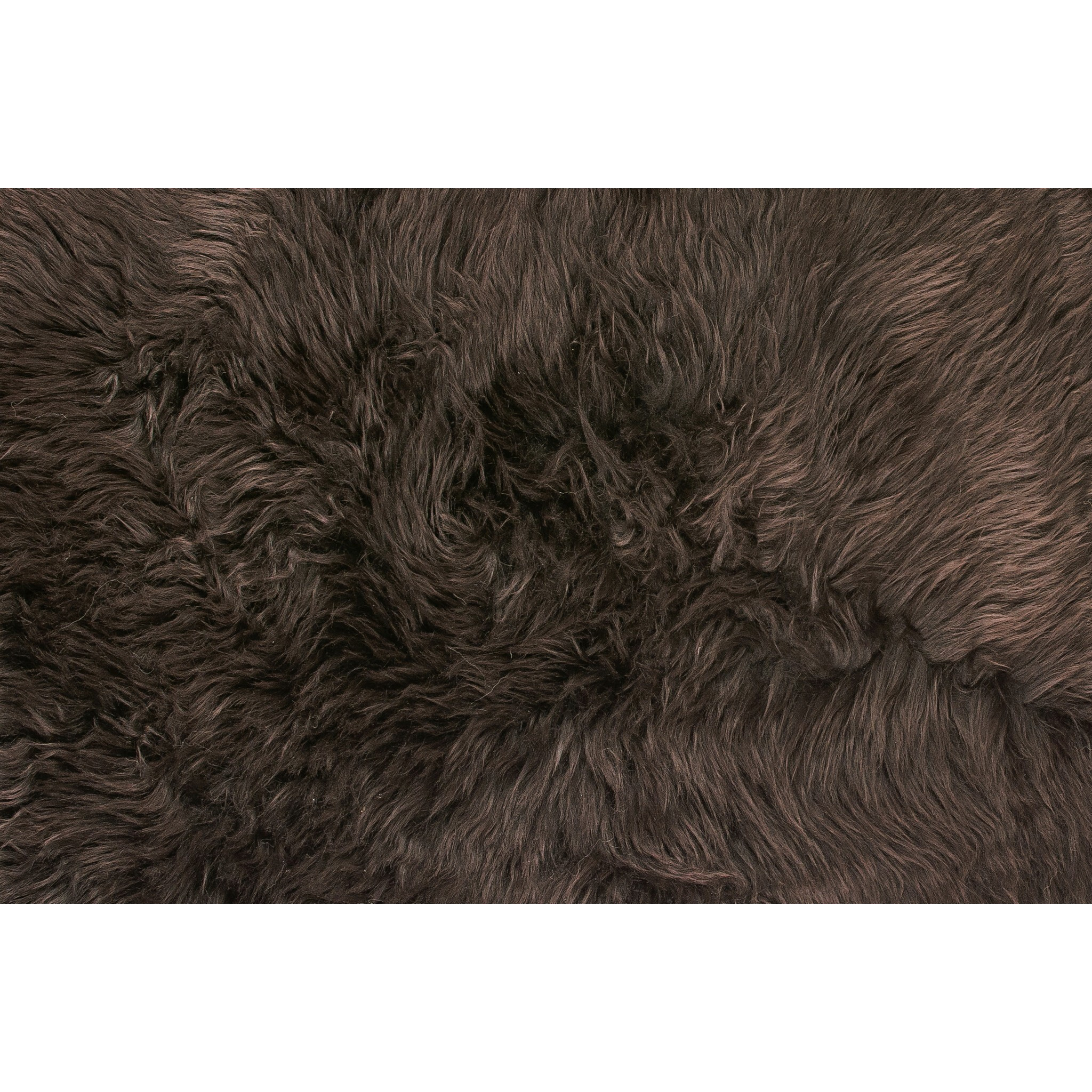 Chocolate Animal Print Area Rug