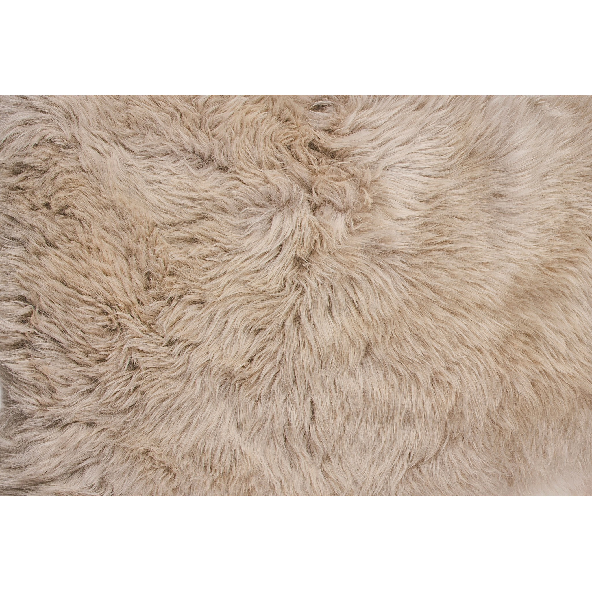 Taupe Animal Print Area Rug