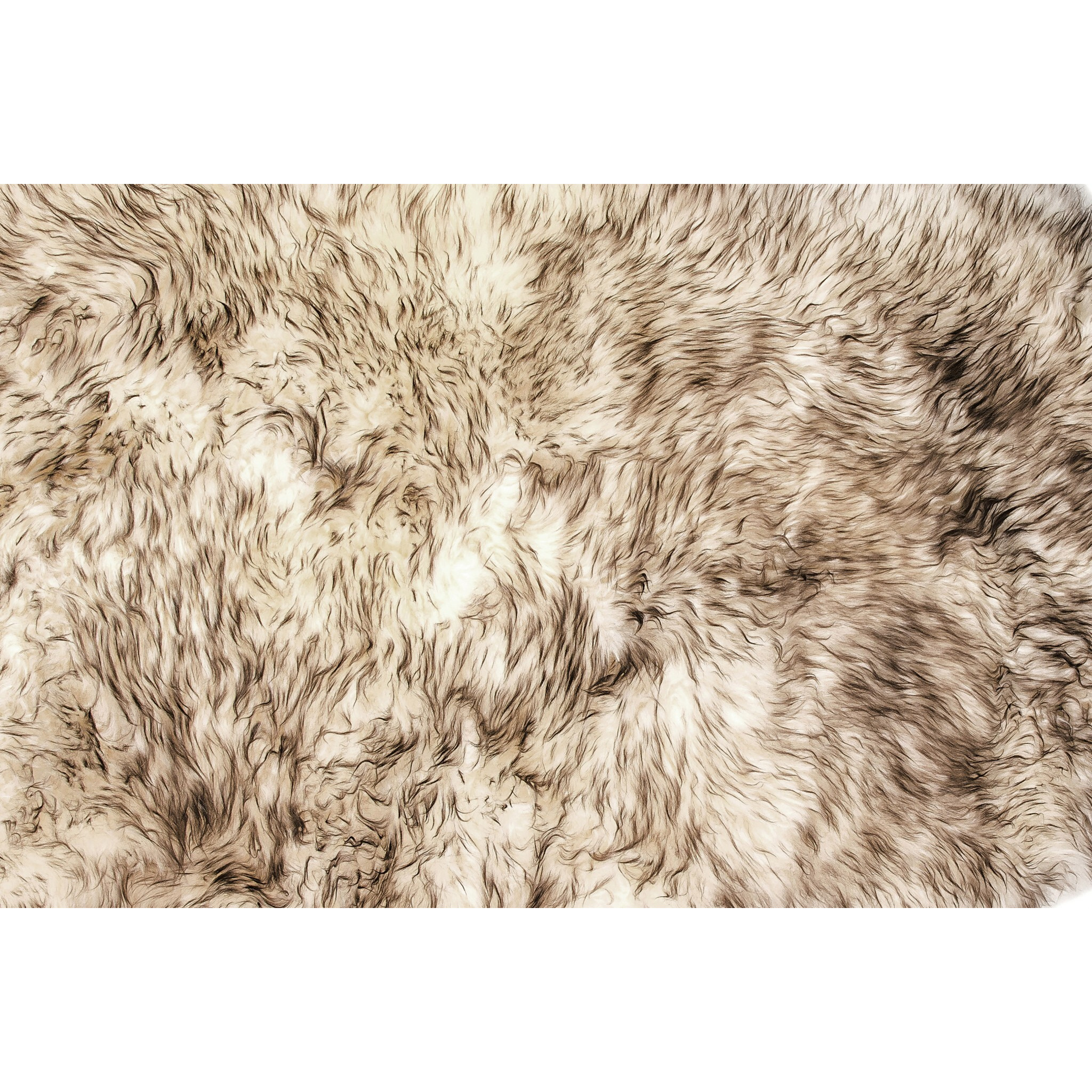 Gradient Chocolate Animal Print Area Rug
