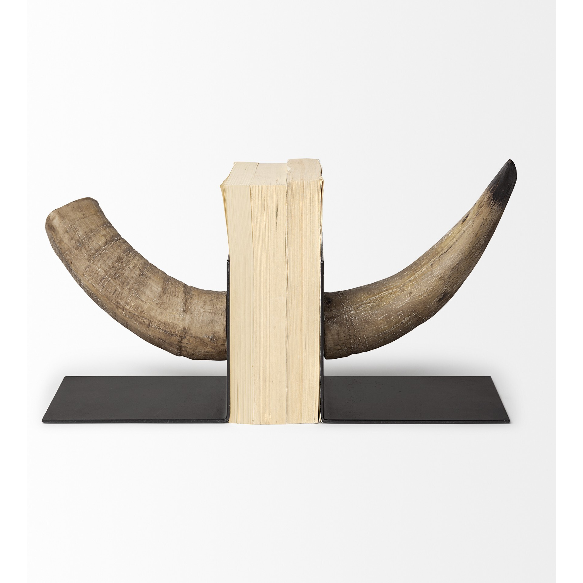 Bull Horn Replica Bookends