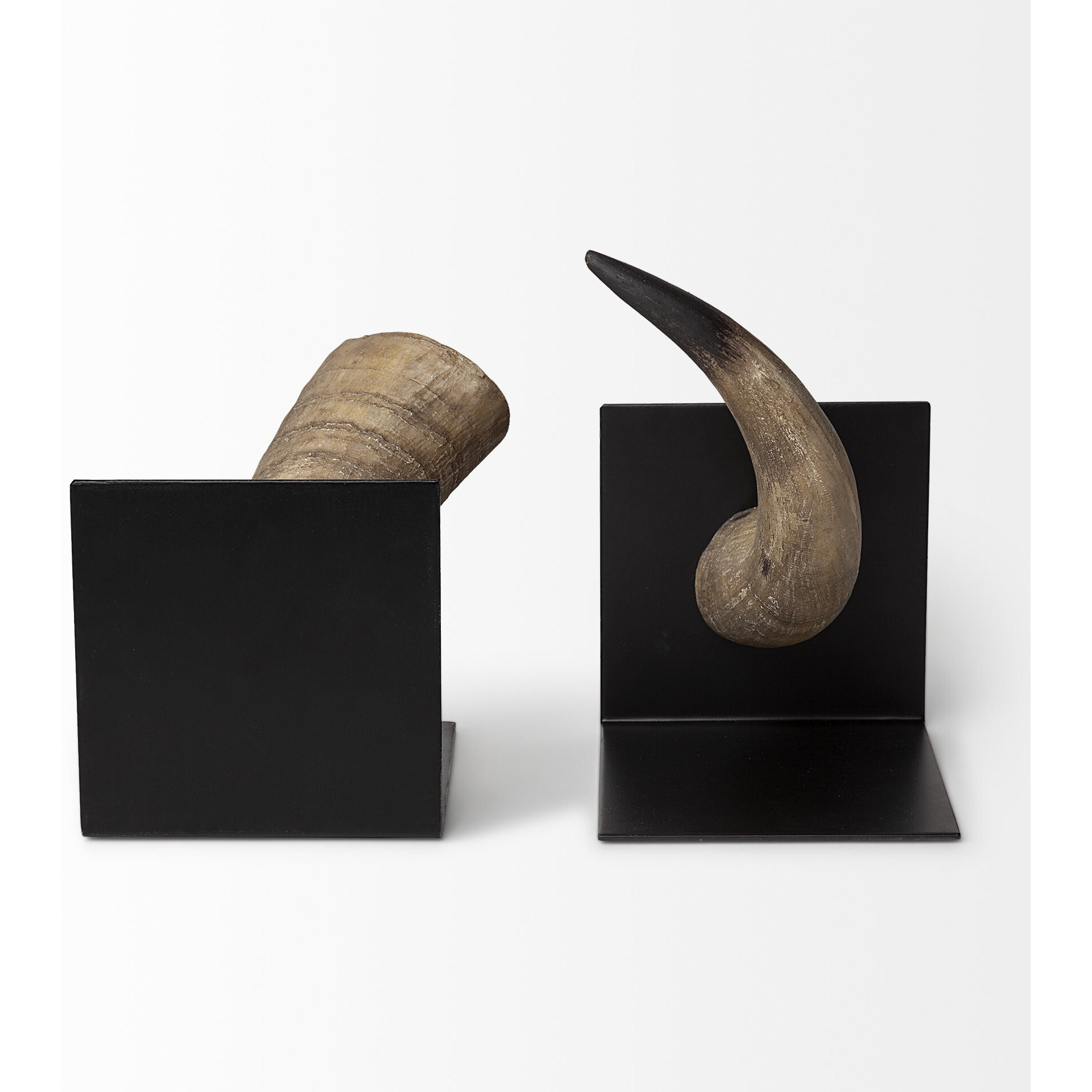 Bull Horn Replica Bookends