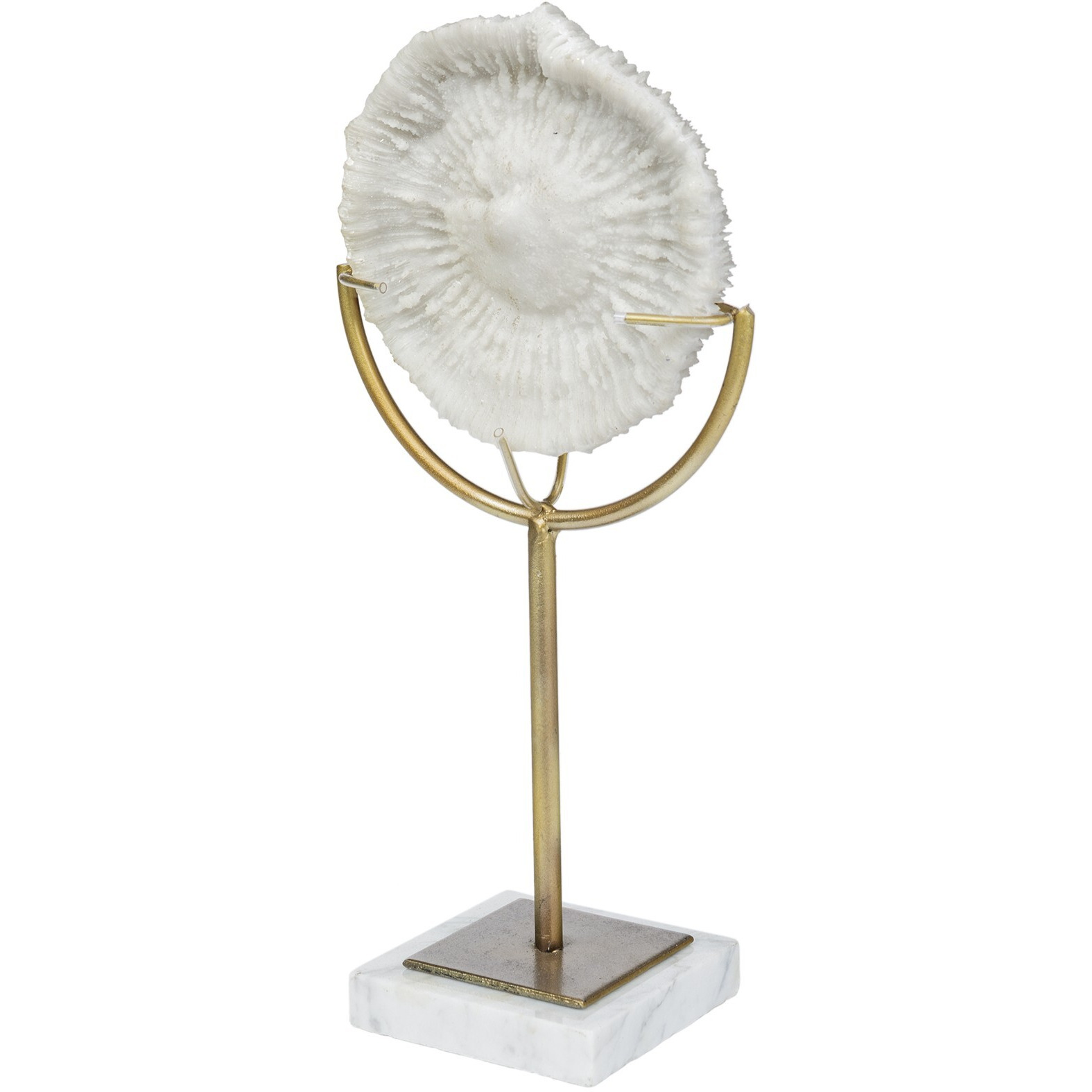 Jumbo White And Gold Coastal Sculpture