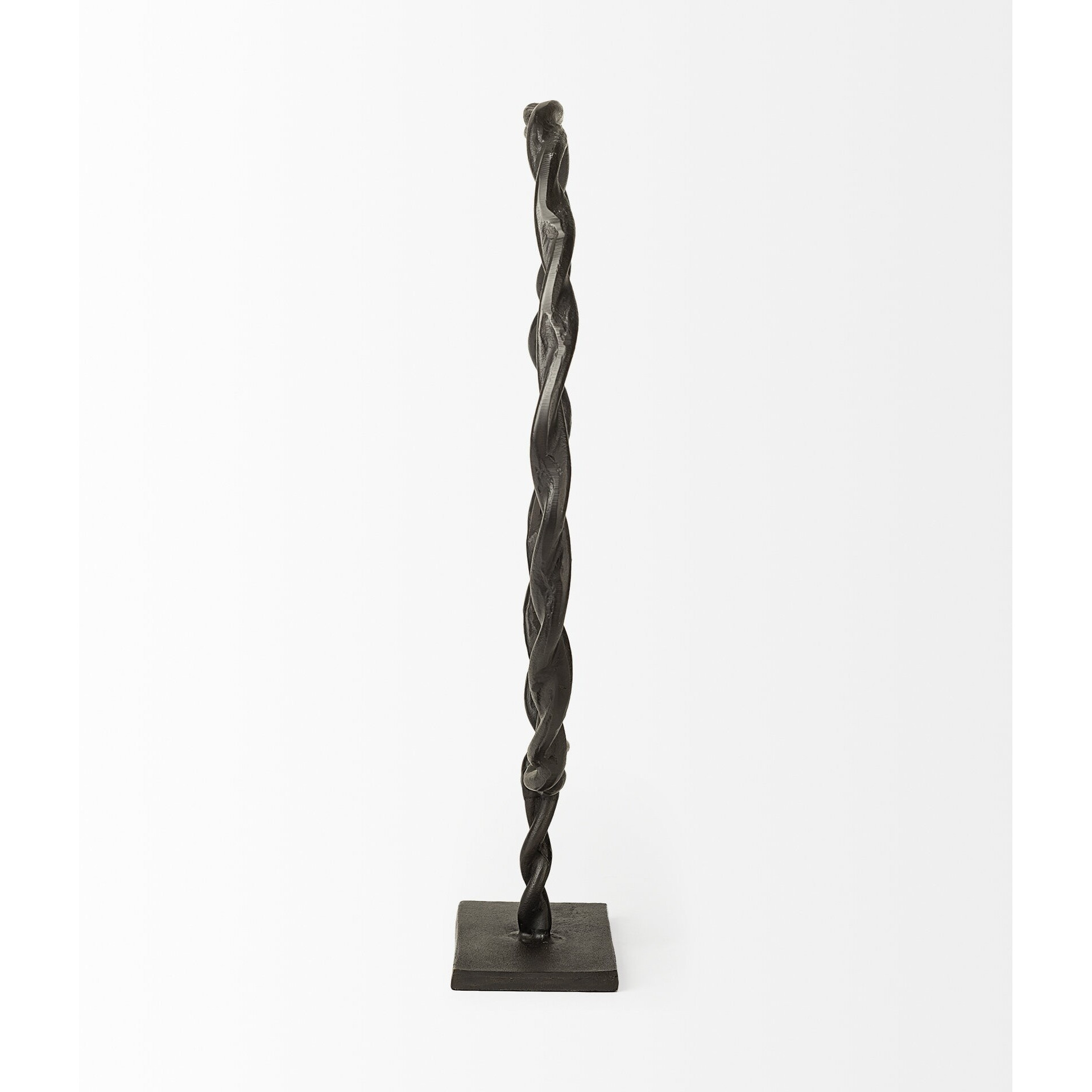 Black Metal Braided Sculpture