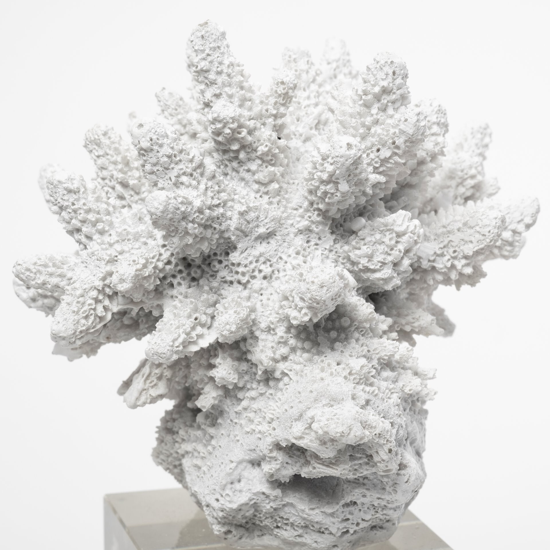 10"" White Contempo Coral And Glass Sculpture