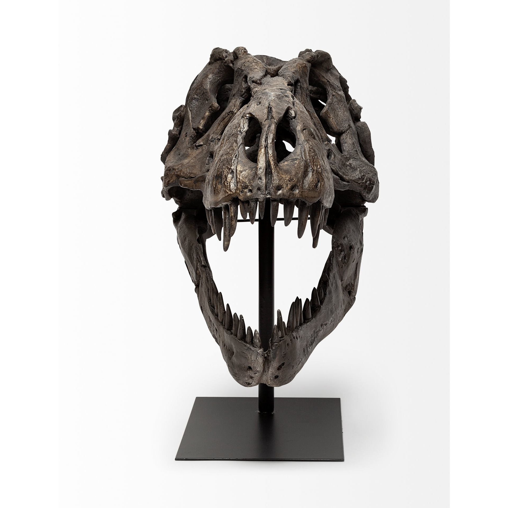 Authentic Replica T Rex Skull Sculpture