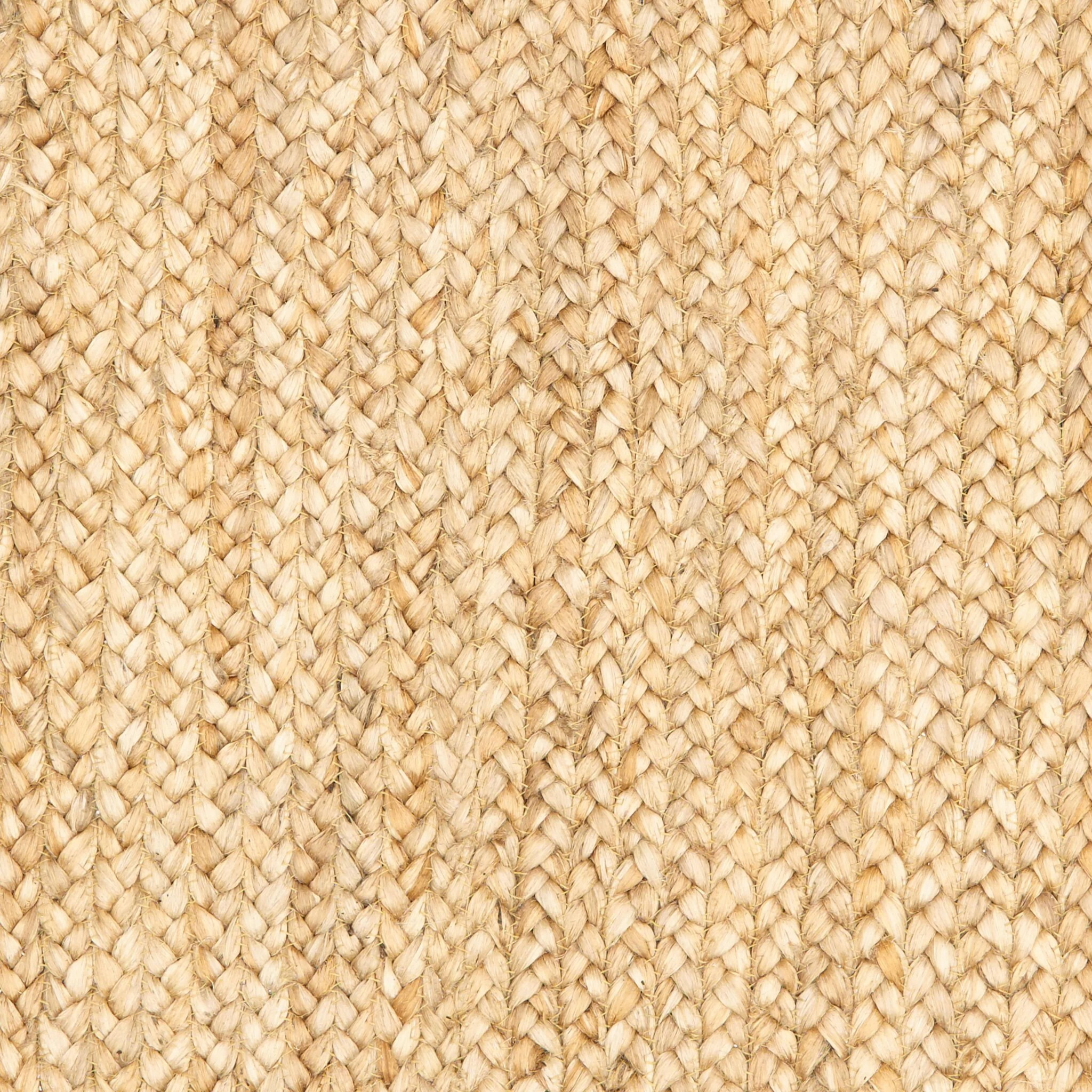 4 X 6 Classic Tan Bordered Area Rug
