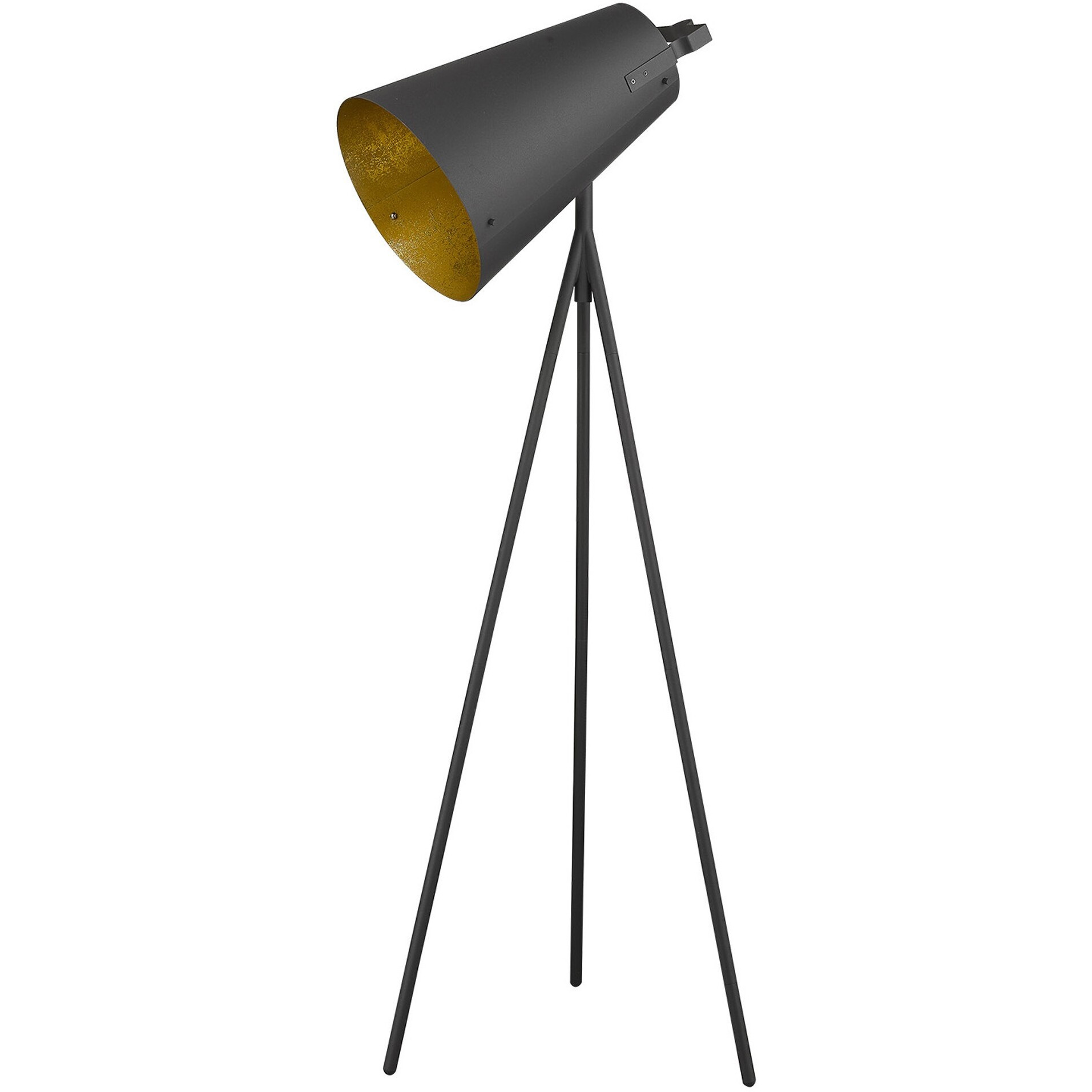 Faza 1-Light Matte Black Floor Lamp