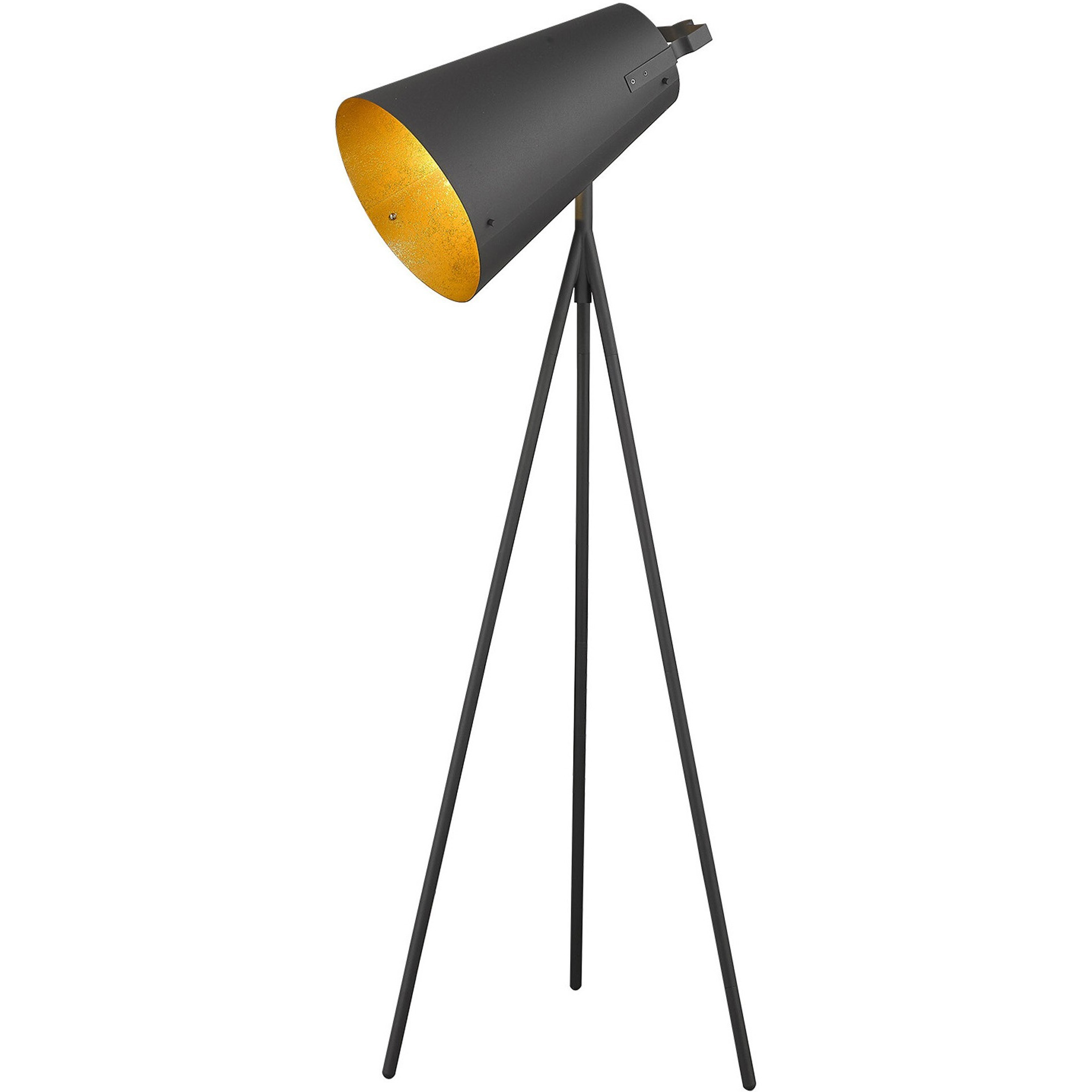 Faza 1-Light Matte Black Floor Lamp
