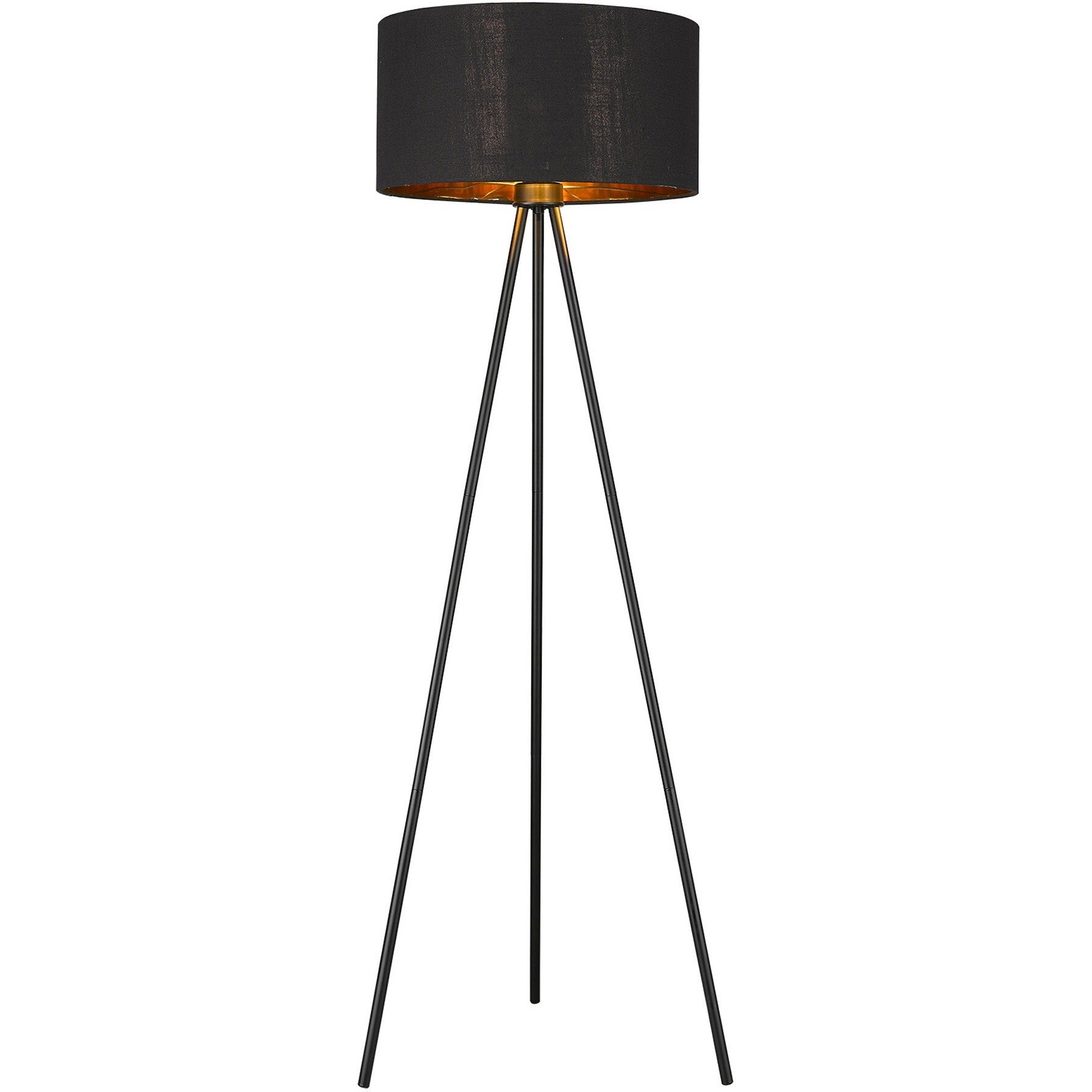 Morenci 1-Light Matte Black Floor Lamp