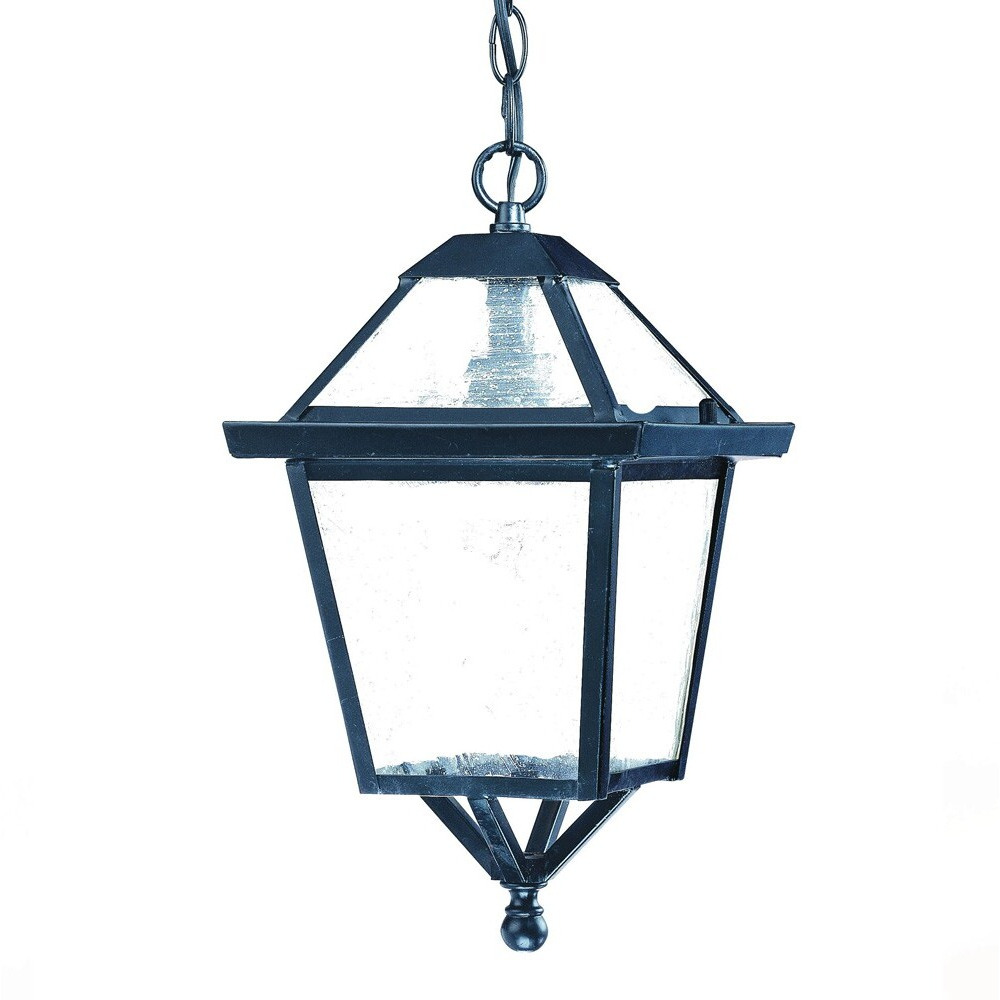 Matte Black Hanging Lantern Light