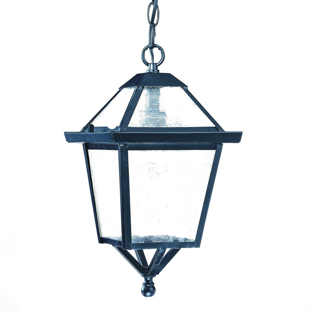 Matte Black Hanging Lantern Light