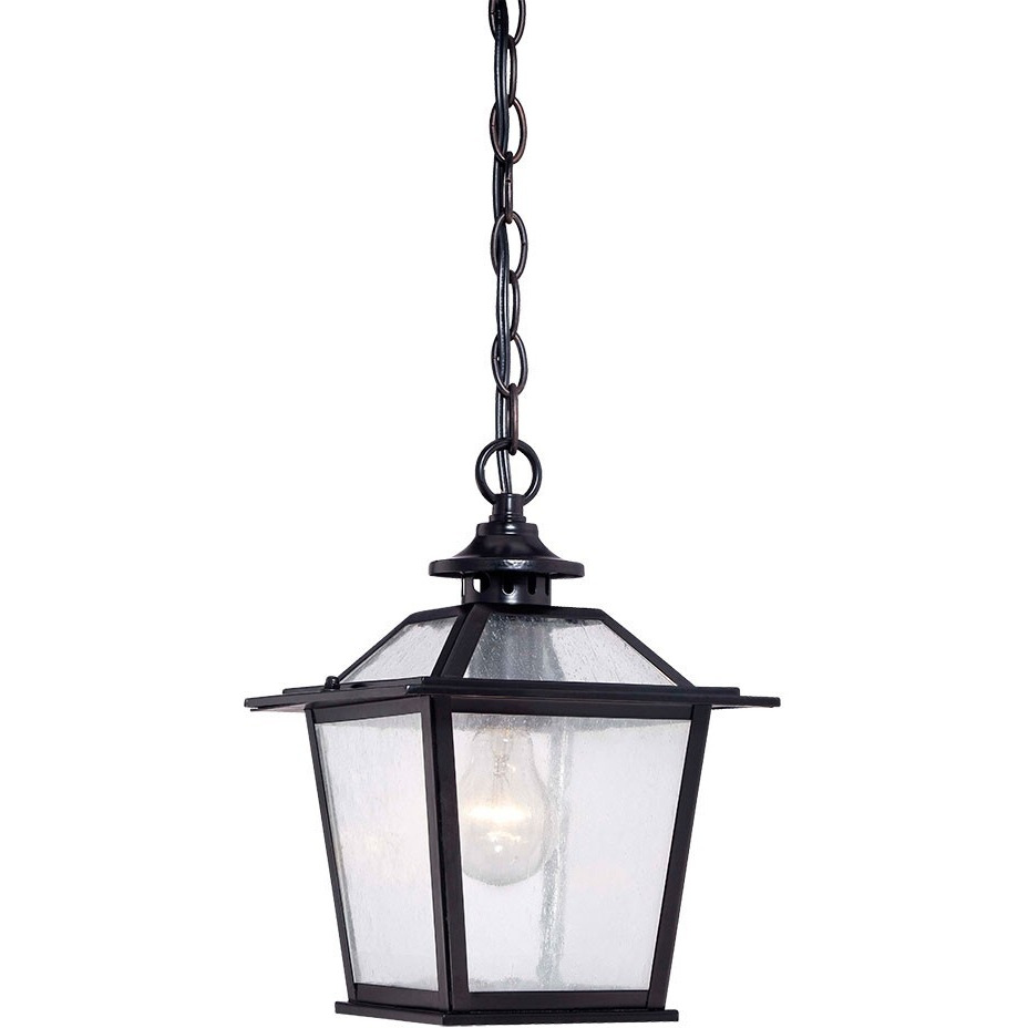 Matte Black Terrarium Shape Hanging Light