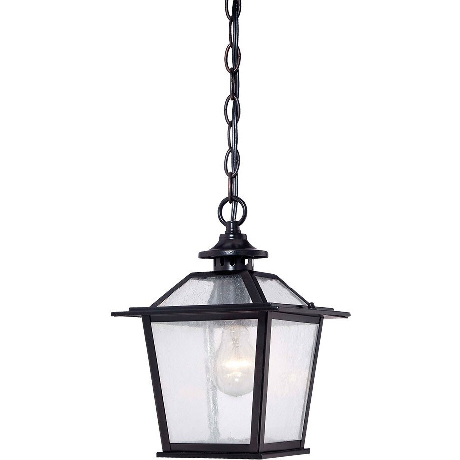 Matte Black Terrarium Shape Hanging Light