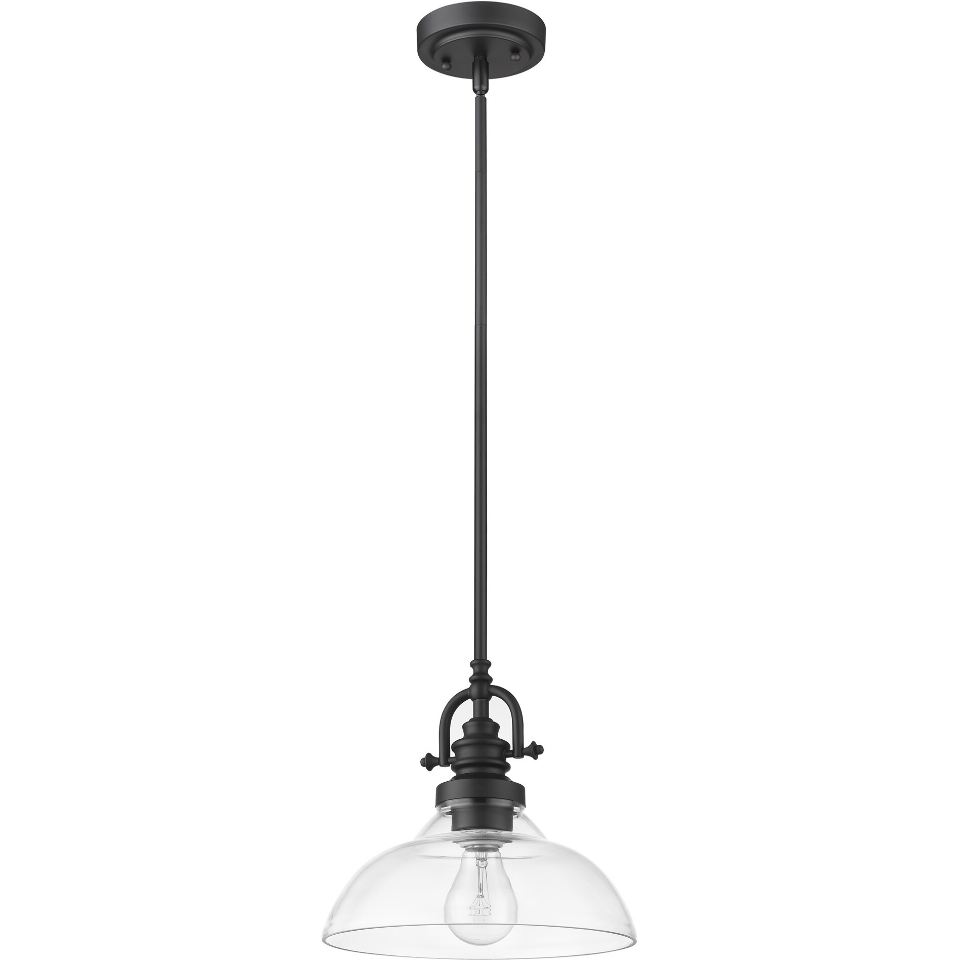 Matte Black Hanging Light With Glass Dome Shade