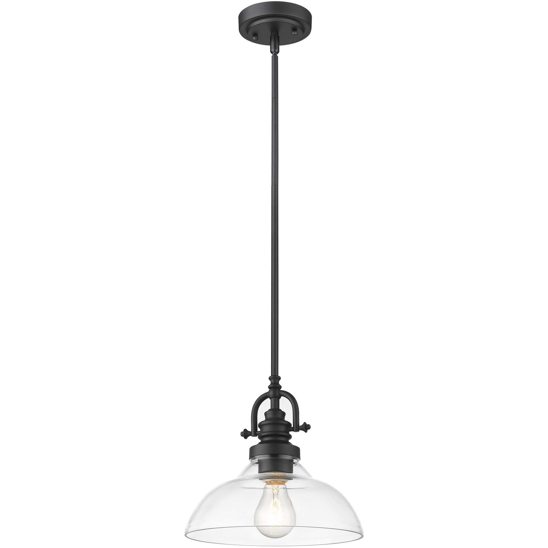 Matte Black Hanging Light With Glass Dome Shade