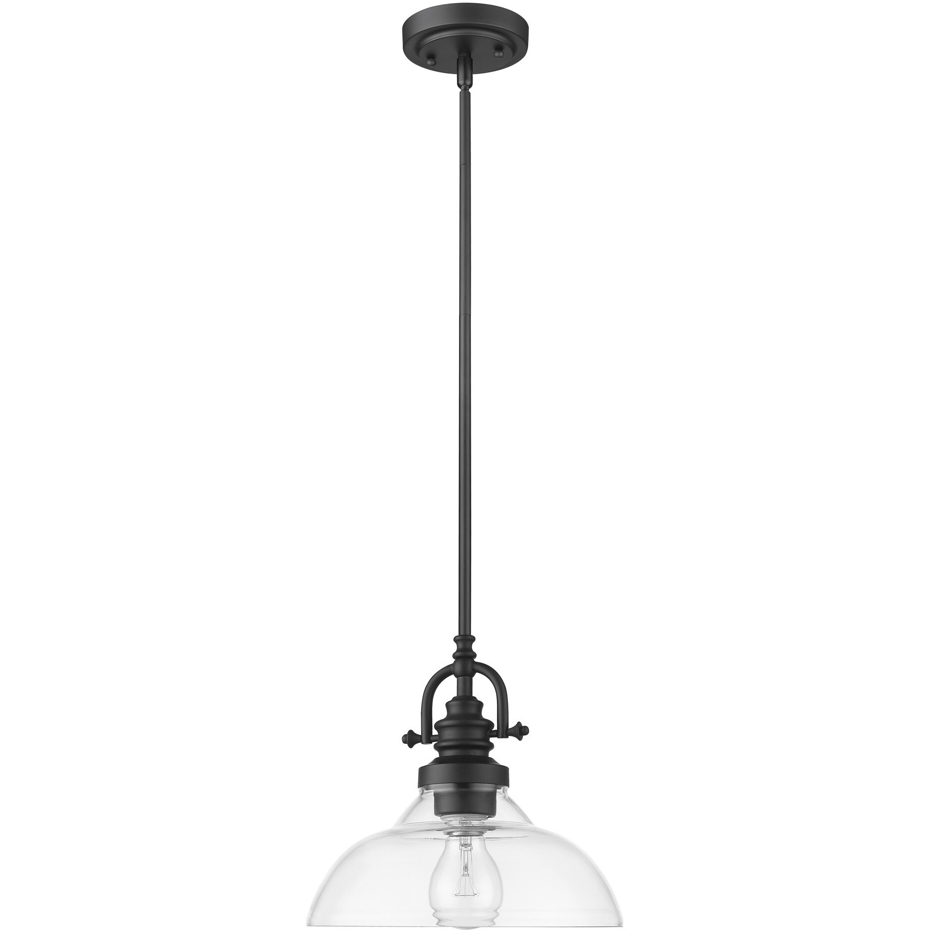 Matte Black Hanging Light With Glass Dome Shade