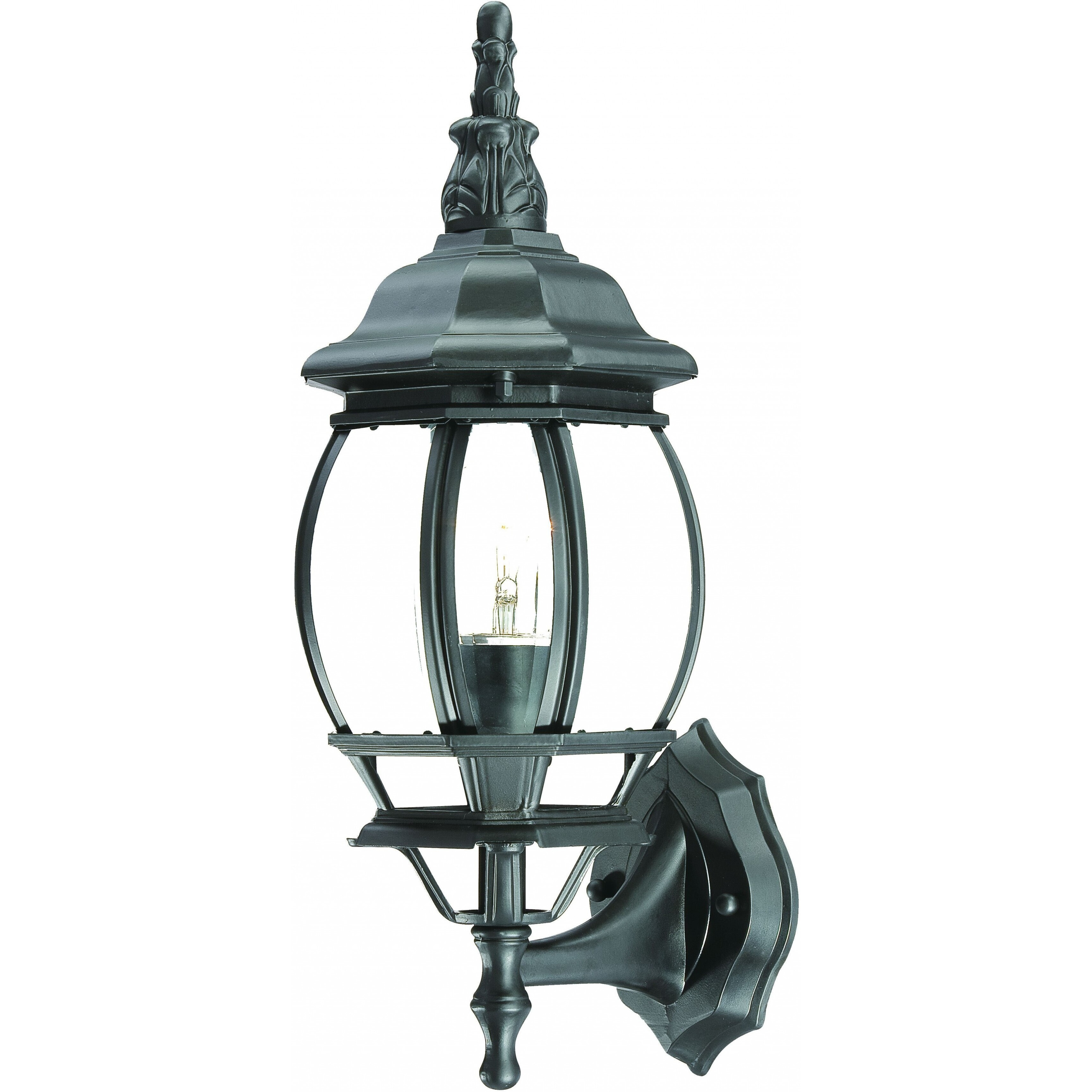 Matte Black Ornamental Glass Globe Wall Light