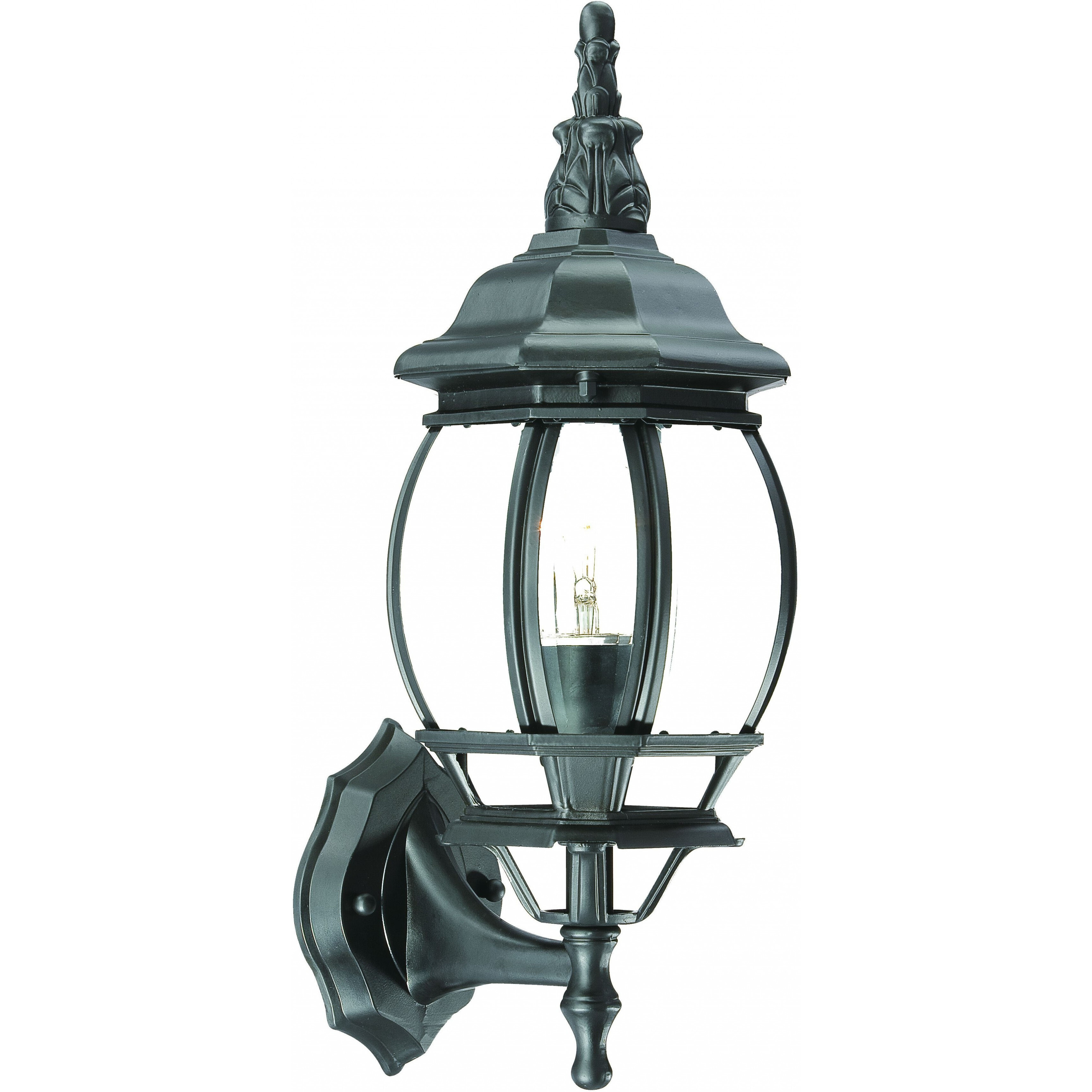 Matte Black Ornamental Glass Globe Wall Light