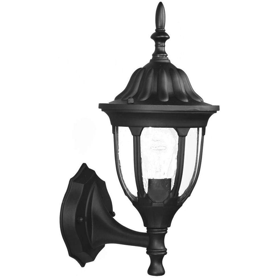 Matte Black Clear Glass Swing Arm Wall Light
