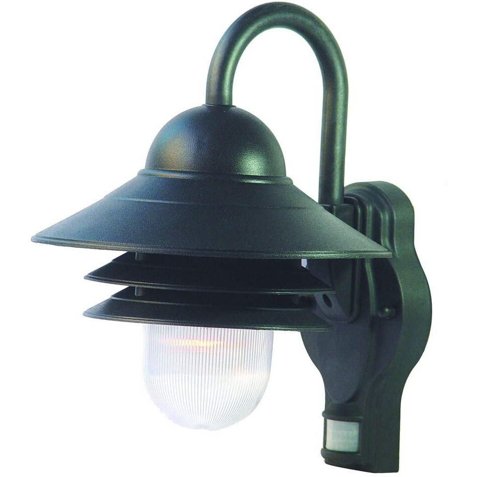 Matte Black Motion Sensor Outdoor Wall Light