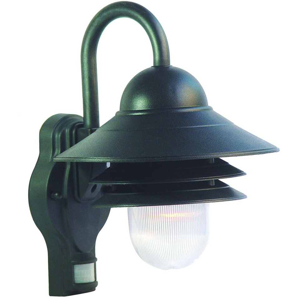 Matte Black Motion Sensor Outdoor Wall Light