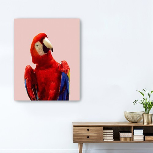 30"" Vibrant And Vivid Bird Canvas Wall Art