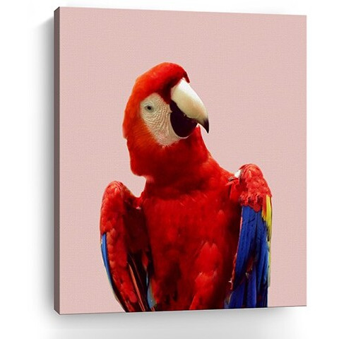 30"" Vibrant And Vivid Bird Canvas Wall Art