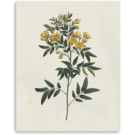 20"" Singular Yellow Blossom Branch Canvas Wall Art