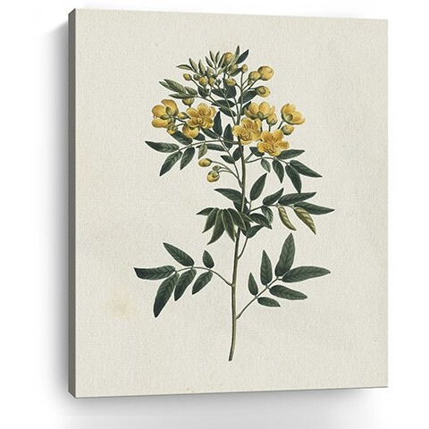 20"" Singular Yellow Blossom Branch Canvas Wall Art