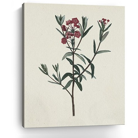 20"" Singular Red Blossom Branch Canvas Wall Art