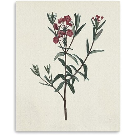 30"" Singular Red Blossom Branch Canvas Wall Art