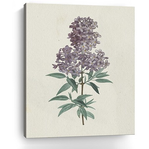 30"" Singular Purple Blossom Branch Canvas Wall Art